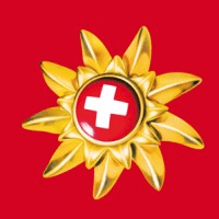 Swiss Travel System AG Logo