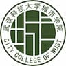 Wuhan University of Science and Technology City College