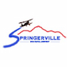 Springerville Municipal Airport