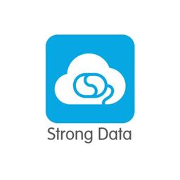 Hangzhou Strong Data Intellectual Property Agency Co., LTD. Logo