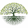 Big Tree Resource Management Pvt Ltd