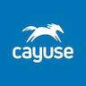 Cayuse