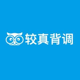 较真背调 Logo