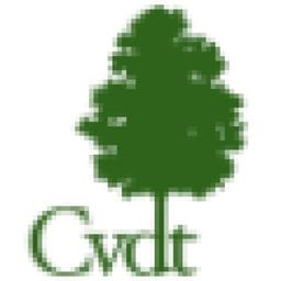 CVDT Consulting Logo