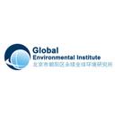 Global Environmental Institute