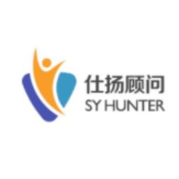 仕扬(武汉)人力资源有限公司 Logo