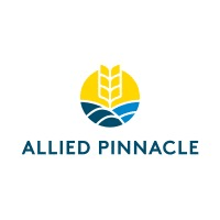 Allied Pinnacle Logo