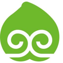 Shenzhen Huaguoshan Tech Ltd Logo