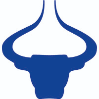 Bahrain Financing Company (BFC) Logo