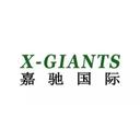 嘉驰国际合肥分部