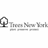Trees New York