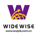 WideWise HR consulting