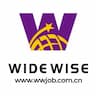 WideWise HR consulting